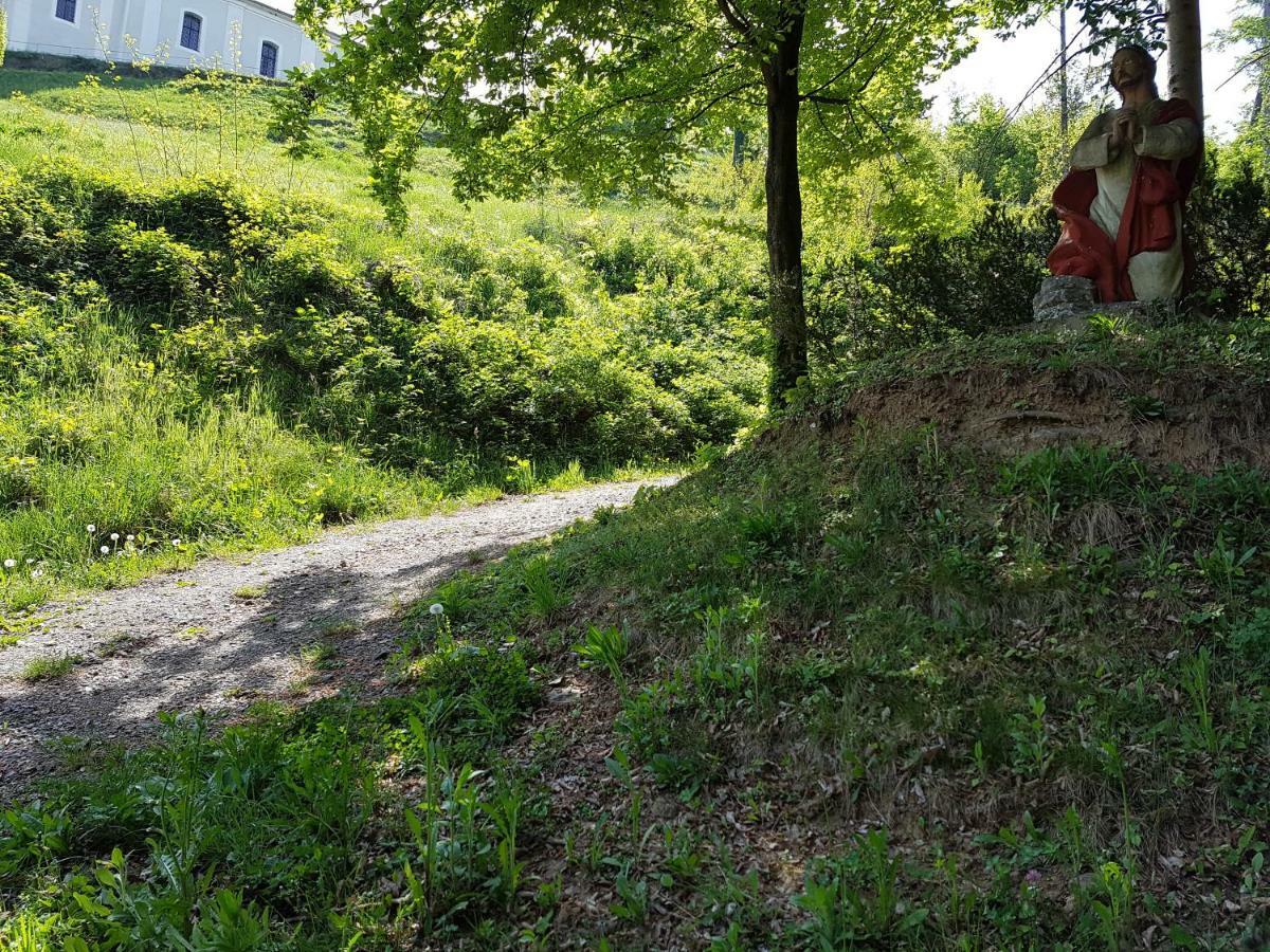 Gasthof Restaurant Steirereck'N Schwanberg 外观 照片